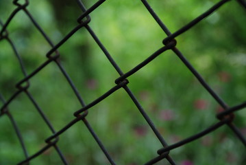 Fototapeta premium Fredoom and unfreedom 