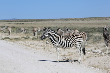namibie