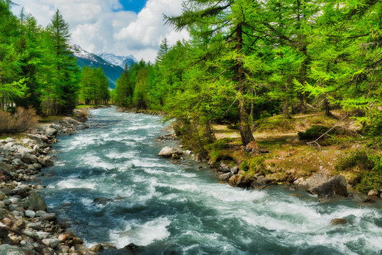 river among the trees in Aosta Valley