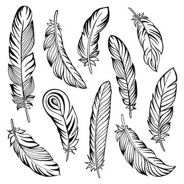 Indian Feather Set Hand Drawn. Vector Illustration.