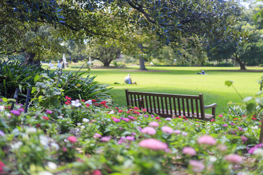 Park in the center of Sydney in Australia