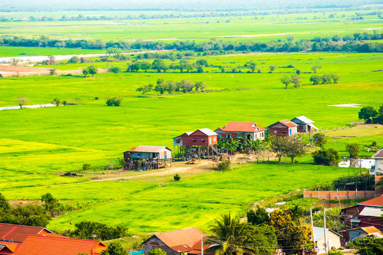 Floating village Phnom Krom, green rice fields, Tonle Sap, Siem Reap, Cambodia