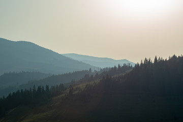 panoramic view of of mountains in misty forest.