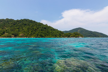 Fototapeta premium Surin Islands as a tourist destination featured in the beauty under the sea. The door to greet visitors on arrival island. Phang-nga, Thailand