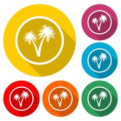 Palm Tree Silhouette icon, color icon with long shadow