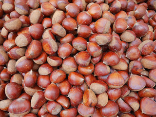 Sweet chestnuts, edible chestnuts (inedible ones are called horse chestnuts) salt roasted, are healthy and delicious snacks, low in fat, high in protein, gluten-free, high in vitamins and fibers.