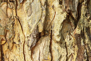 stone texture and background