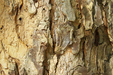 stone texture and background
