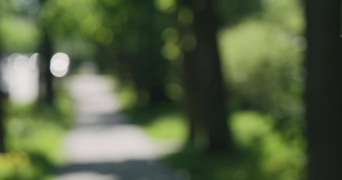 Slow motion blurred background of town ally with poplar fluff floating in air
