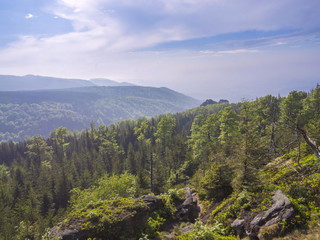 Jizera Mountains (jizerske hory) panorama, view with lush green spruce forest and blue sky, white clouds background, springtime