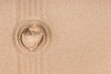 Sea shell lying in the center of a circle made of sand. With space for your text.