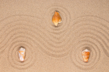 Three sea shell lying in the center of a circles made of sand. With space for your text.