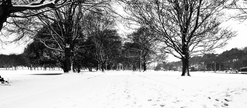 The Irish National War Memorial Gardens