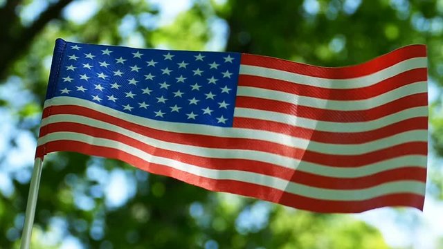 American Flag in slow motion. Forest  green  leaves background, Low view
