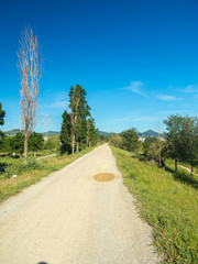 Fototapeta na wymiar Rural road that passes through the middle fields in Baix LLobregat