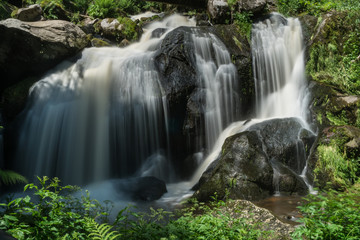 Fototapeta premium Triberger Wasserfall