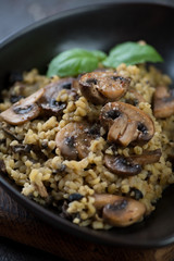Closeup of bulgur with fried champignons, selective focus, studio shot