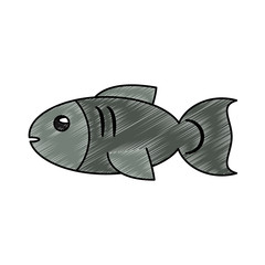 Fish seafood symbol vector illustration graphic design