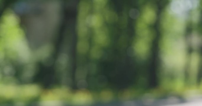 Slow motion blurred background with poplar fluff floating in air in front of trees