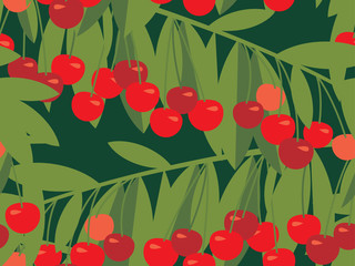 Rape cherry fruit  seamless pattern.