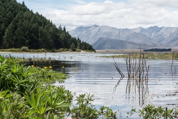 New Zealand Landscape