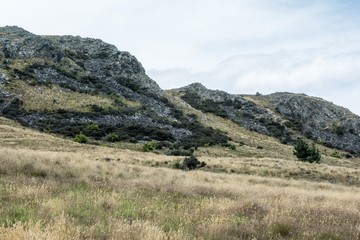 New Zealand Landscape