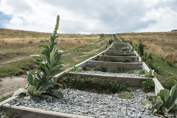 New Zealand Landscape