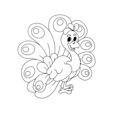 Peacock cartoon illustration isolated on white background for children color book