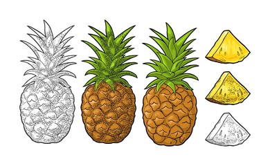 Whole and slice pineapple. Vector black vintage engraving