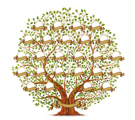 Naklejka premium Drzewo genealogiczne szablon rocznika ilustracji wektorowych