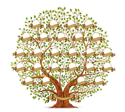 Family Tree template vintage vector illustration
