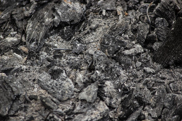 coal
