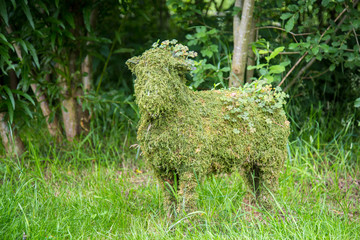 Sustanable green sheep or goat  covered with moss and clover in a park