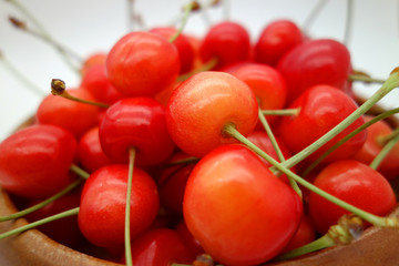 cherry