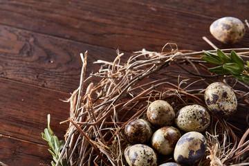 Willow nest with quail eggs on the dark wooden background, top view, close-up, selective focus