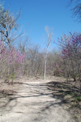 Nature in Pink and Blue