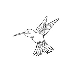 Humming bird cartoon illustration isolated on white background for children color book