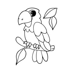 Parrot cartoon illustration isolated on white background for children color book