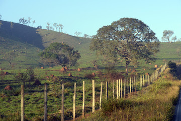 Fototapeta na wymiar Landscape with road and fence