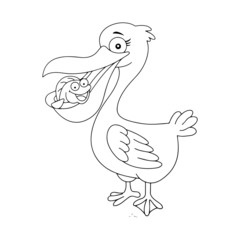Pelican cartoon illustration isolated on white background for children color book