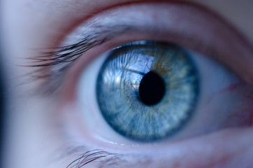 The human eye in macro photography
