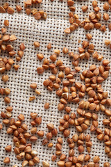 Buckwheat groats on burlap background, top view, close-up, selective focus, shallow depth of field, vertical.