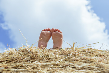 little feet sticking out from a bale of hay in a summer day