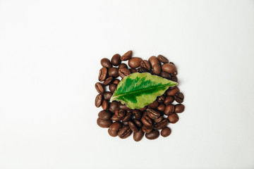 beans coffee on a white background