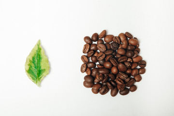 beans coffee on a white background