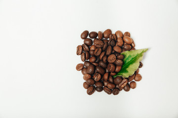beans coffee on a white background