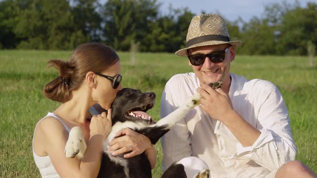 SLOW MOTION, CLOSE UP: Loving woman kisses happy dog while her boyfriend rubs its fluffy paw on a sunny day in the countryside. Young couple expressing their love for their cute border collie puppy.