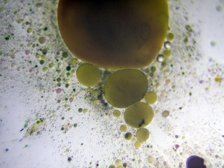 the chemical reaction of the paint with water © Edmond