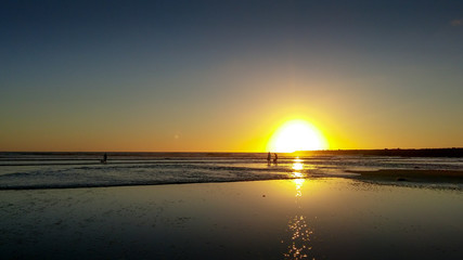 The Original Dog Beach