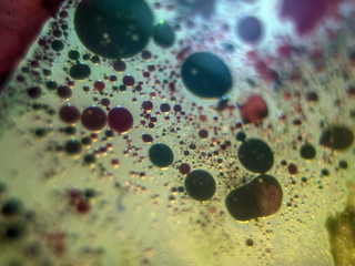 the chemical reaction of the paint with water